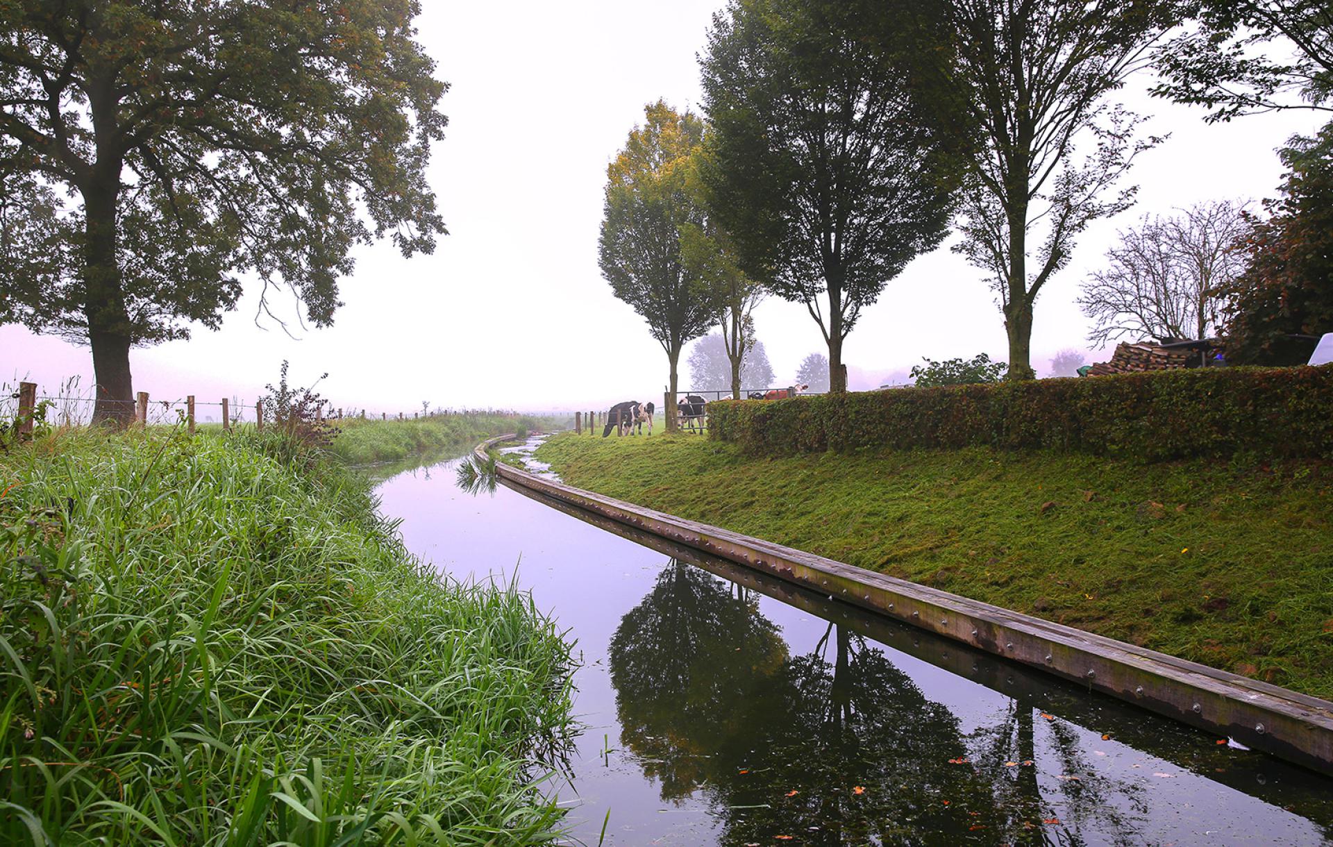 Wij halen onze deadlines en blijven binnen budgetten