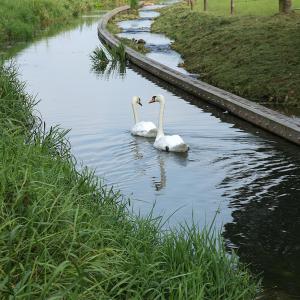 Natuurbouw