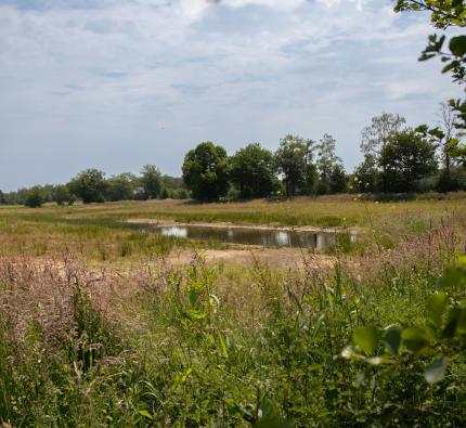 De Boom Leusden