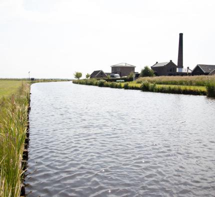 Natuurvriendelijke oevers De Wiel